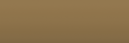 Land Rover Sienna Gold GAM color swatch