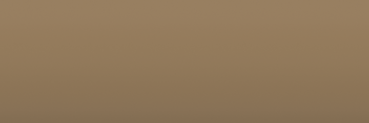 Nissan Khaki CV9 color swatch