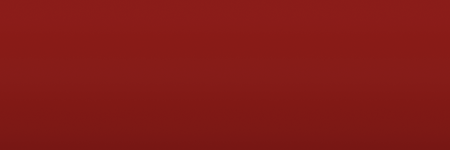 Ford Dark Cranberry Metallic ER color swatch