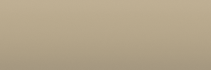 Audi Kansas Beige 91D color swatch