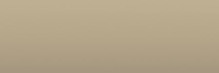 Audi Kansas Beige 91D color swatch