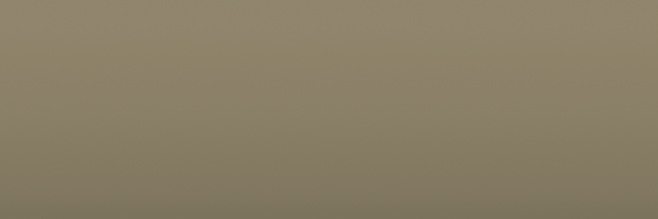 Hyundai Shimmering Silver Metallic MTS color swatch
