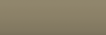 Hyundai Shimmering Silver Metallic MTS color swatch