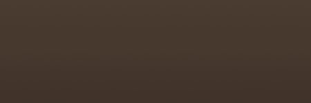 Dodge Cinnamon Metallic T4 color swatch