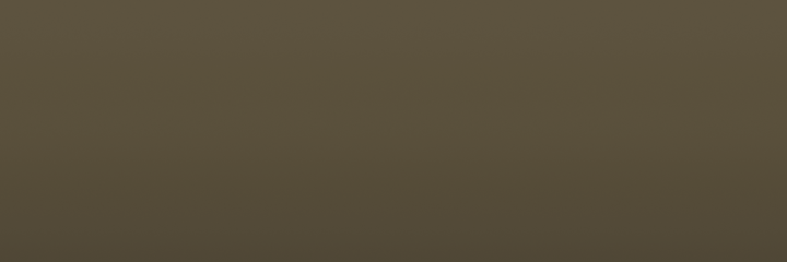 Jeep '41 AJ5 color swatch