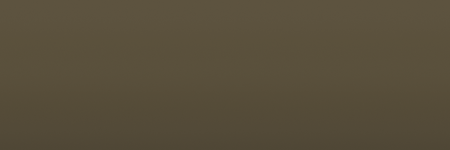 Jeep '41 AJ5 color swatch