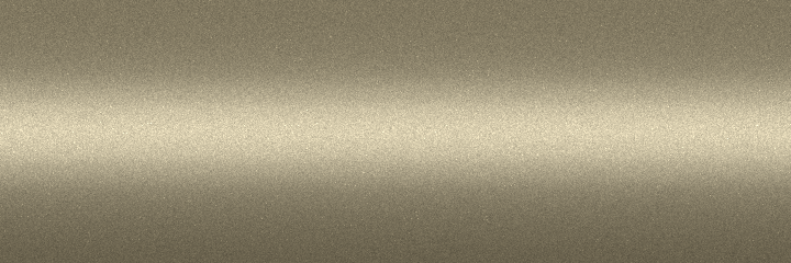 Nissan Champagne Gold Pearl EM1 color swatch