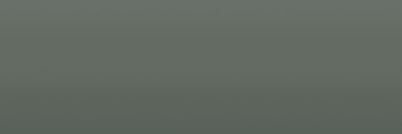Ford Marron Glace Metallic 383 color swatch