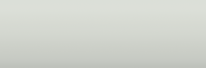 Chevrolet Silver Metallic W12 color swatch