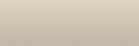 Jeep Bronze Metallic 806 color swatch