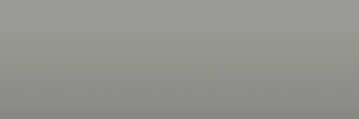 Toyota Light Gray 1M4 color swatch