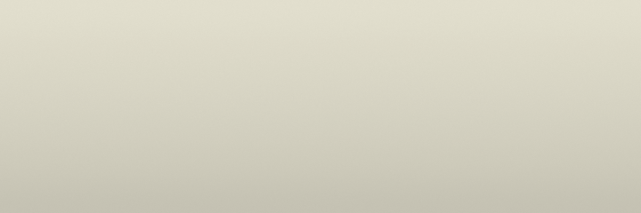 Honda White NH22 color swatch