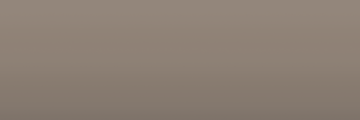 Toyota Beige 4S4 color swatch