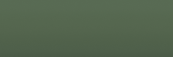 Volvo Pike Green 1417 color swatch