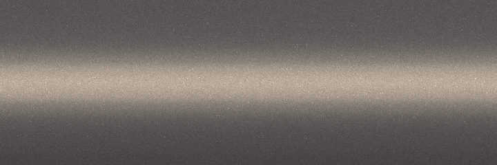 Toyota Beige Mica 4N9 color swatch