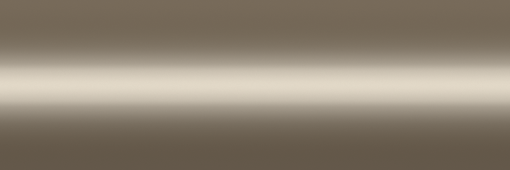 Buick Ivory T color swatch