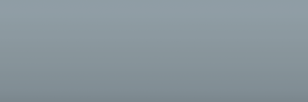Ford Micro Silver Gray Metallic LG color swatch