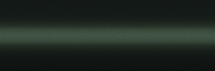 AMC Willow Green Metallic P75 color swatch