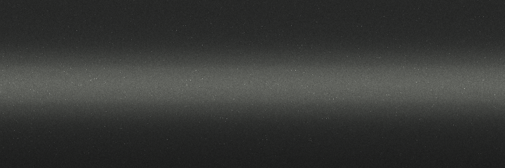 Lotus Metallic Gray Metallic C185 color swatch