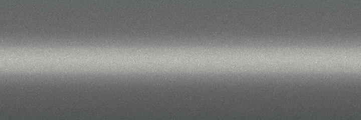 Ford Nimbus Grey Metallic ZL color swatch