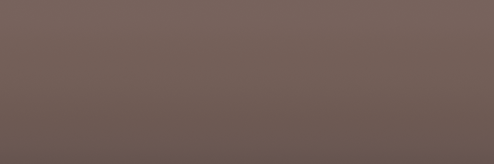 Nissan Brown CR1 color swatch