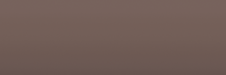 Nissan Brown CR1 color swatch