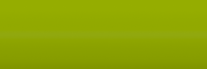Suzuki Verde Tropical VDS color swatch