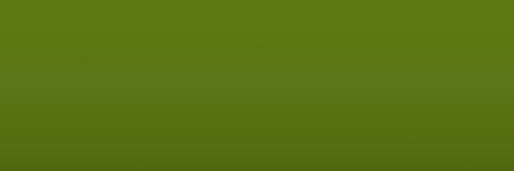 Volvo Green 91496 color swatch