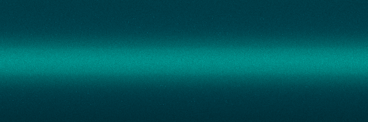 Fiat Nero Lux Metallic 221 color swatch