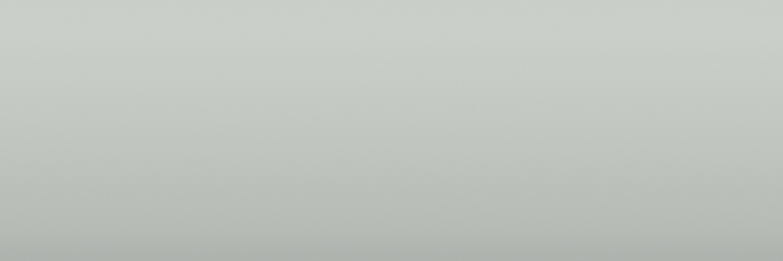 Suzuki White 1LC color swatch