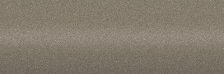 Suzuki Caravan Ivory Pearl Metallic ZYL color swatch