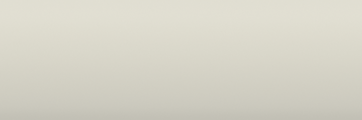 Subaru Birch White 82X color swatch