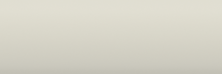 Subaru Birch White 82X color swatch