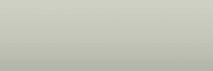 Saab Carrera White 233 color swatch