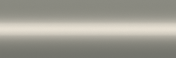 Jaguar Oyster Metallic 751 color swatch