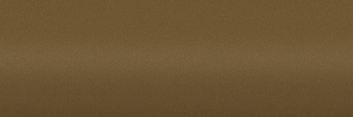 Toyota Sand Metallic 5C8 color swatch