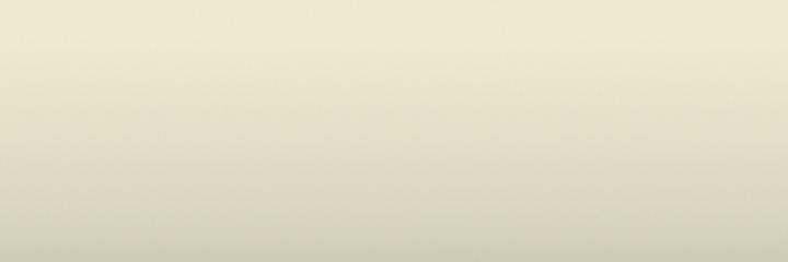 Lexus Ivory White 9J8 color swatch