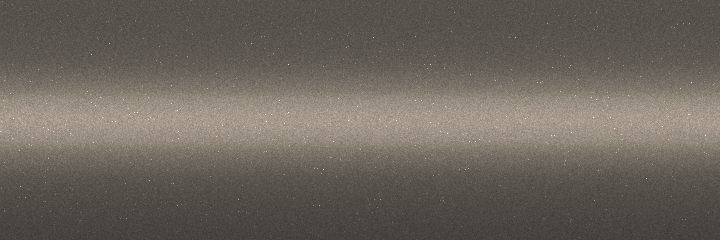 Suzuki Light Bronze Mist Metallic 54U color swatch