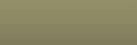 Mercedes-Benz Caledonia Green 867 color swatch