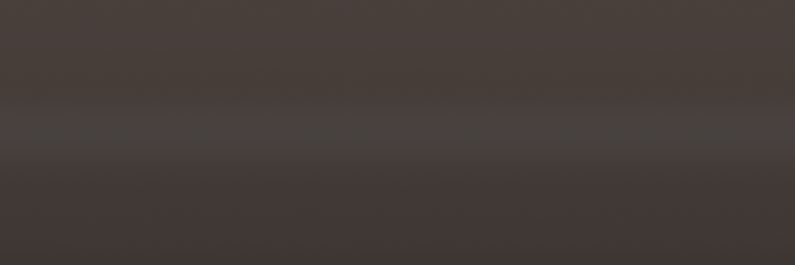 Nissan Brown C01N1 color swatch