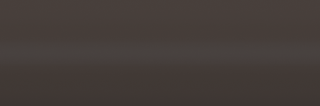 Nissan Brown C01N1 color swatch