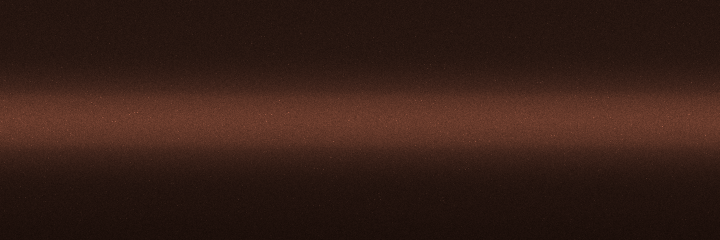 Nissan Nutmeg Metallic CS2 color swatch