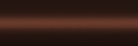Nissan Nutmeg Metallic CS2 color swatch
