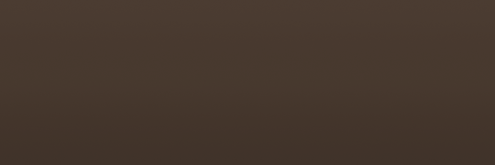 Porsche Cognac Metallic W6 color swatch