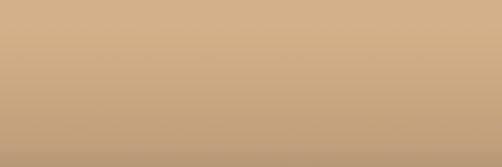 Daihatsu Tan PZW color swatch