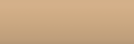 Daihatsu Tan PZW color swatch
