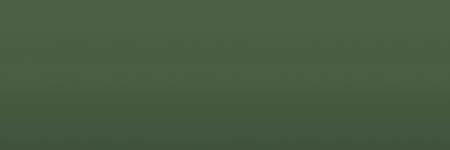 Ford Medium Cypress Metallic F3 color swatch