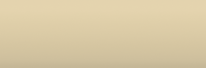 Ford Ivory W1030B color swatch