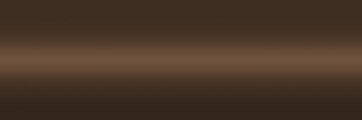 Toyota Brown Metallic 4L1 color swatch