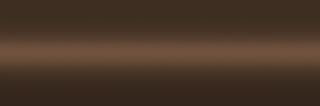 Toyota Brown Metallic 4L1 color swatch